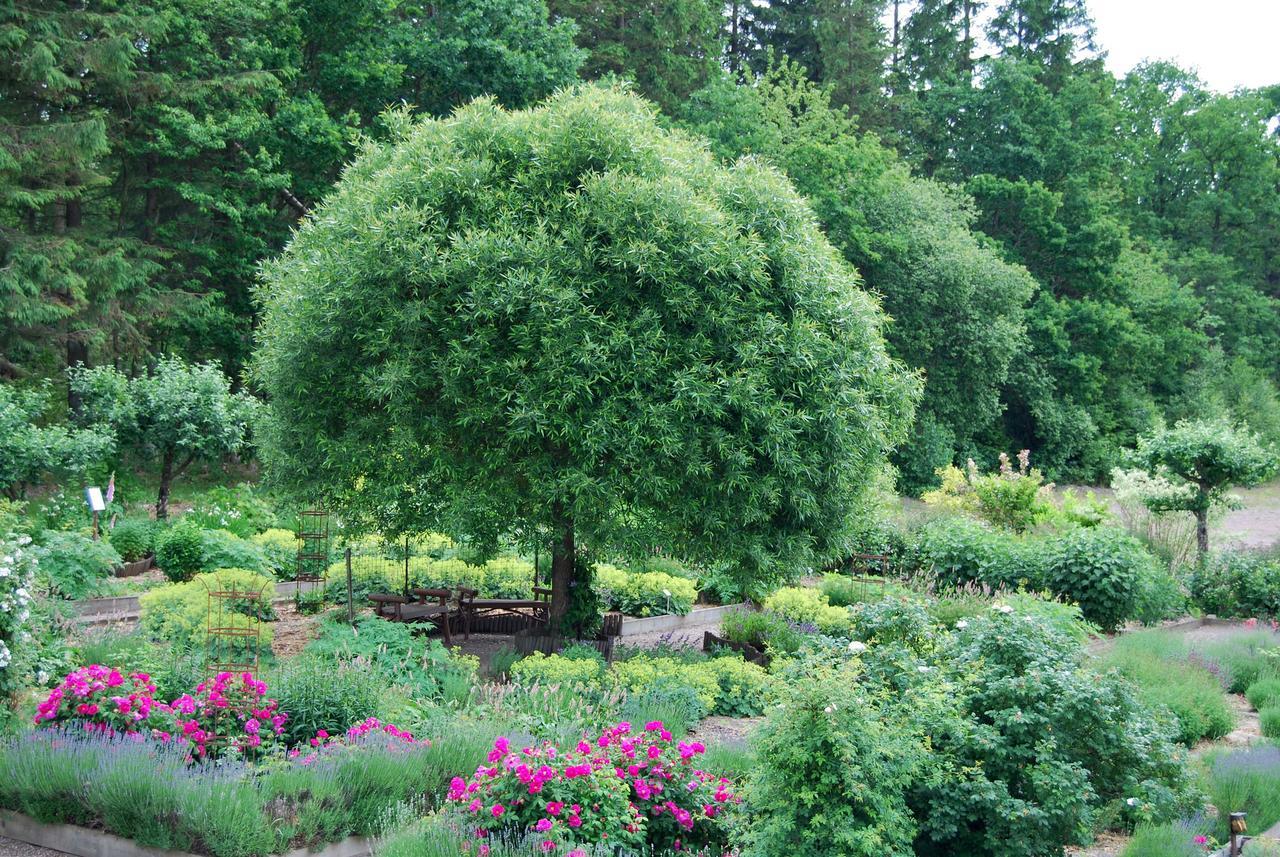 فندق Hillesgarden Boarp المظهر الخارجي الصورة